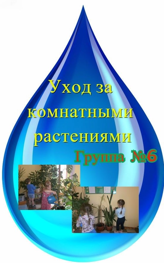 77lpzlT